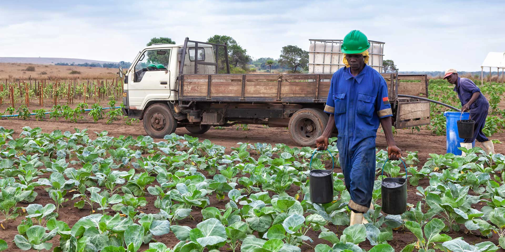 Agricultura em Angola